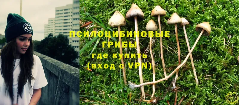 Псилоцибиновые грибы Magic Shrooms  Кстово 